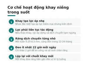 Cơ chế hoạt động khay niềng trong suốt