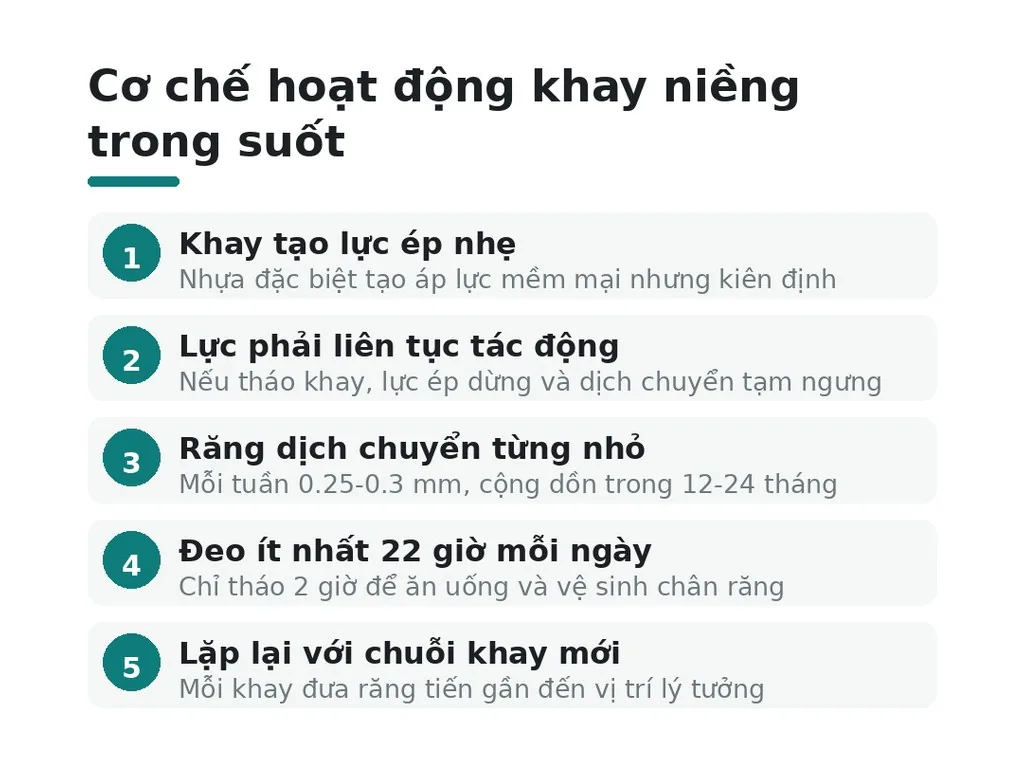 Cơ chế tác động của khay niềng trong suốt lên răng như thế nào?