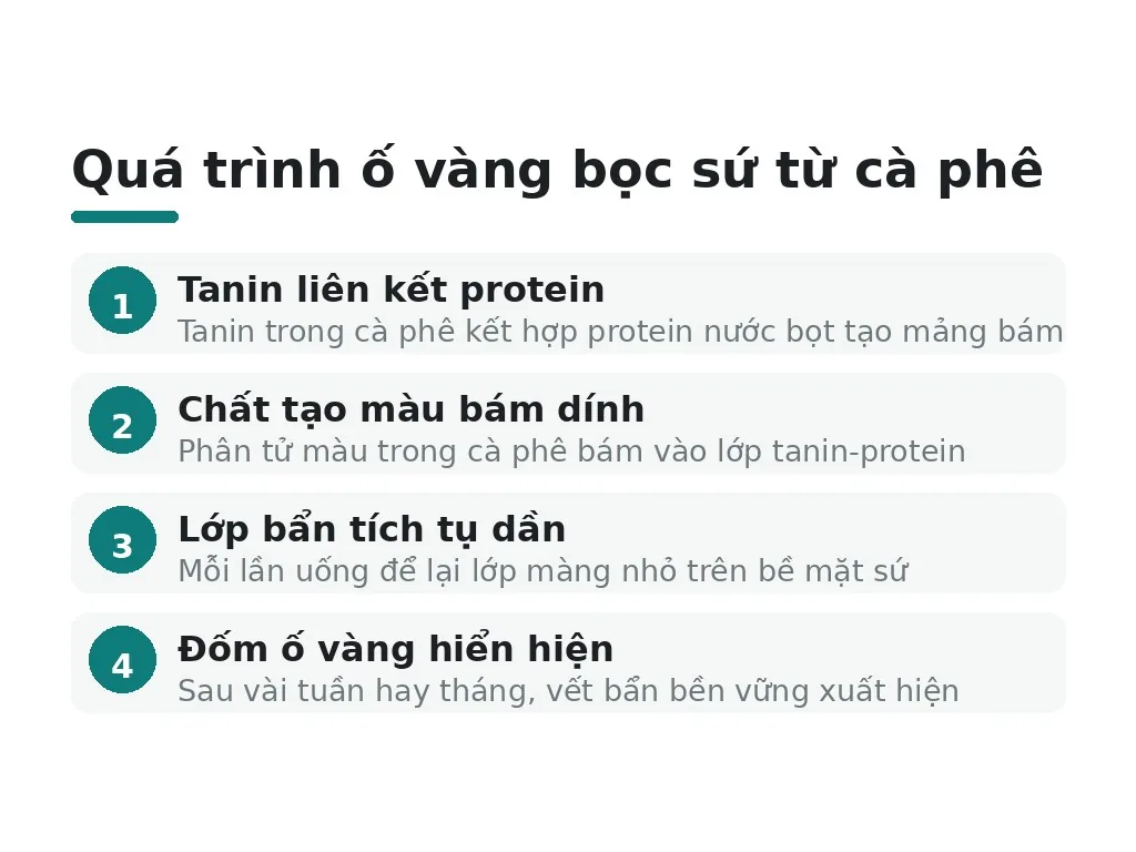 Quá trình ố vàng bọc sứ từ cà phê