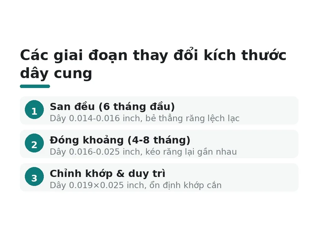 Kích thước dây cung thay đổi ra sao theo giai đoạn niềng?