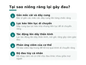 Tại sao niềng răng lại gây đau?