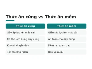 Thức ăn cứng vs Thức ăn mềm