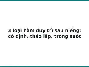 3 loại hàm duy trì sau niềng: cố định, tháo lắp, trong suốt